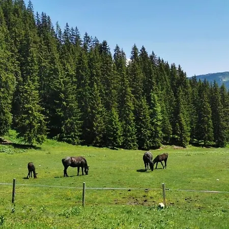 Lindbichlhof Urlaub Am Bio Bauernhof شقة *