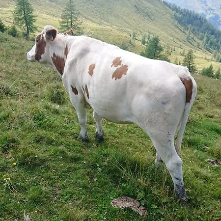 Lindbichlhof Hochgründeck Sankt Johann im Pongau