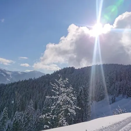 Lindbichlhof Urlaub Am Bio Bauernhof Apartamento