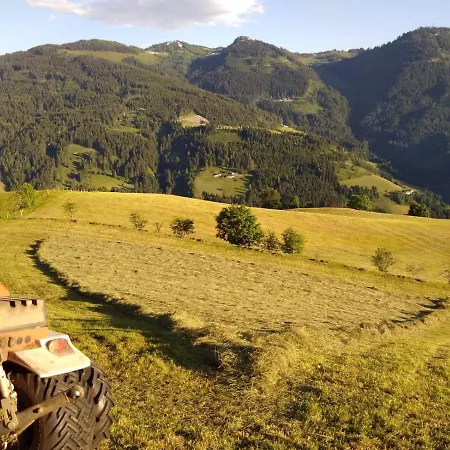 Lindbichlhof Urlaub Am Bio Bauernhof * سانكت يوهان ايم بونغ