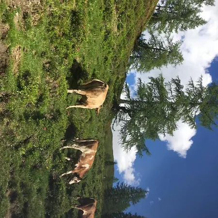 Lindbichlhof Hochgründeck Apartamento *