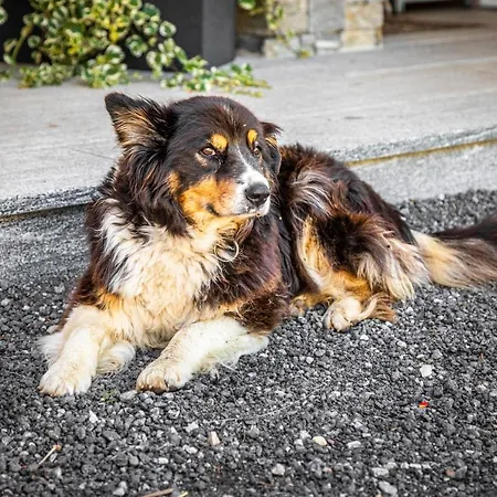 Apartamento Lindbichlhof Urlaub Am Bio Bauernhof