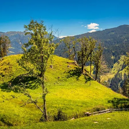 Lindbichlhof Hochgründeck