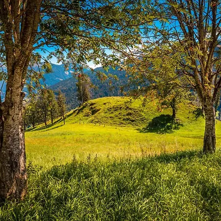 Lindbichlhof Urlaub Am Bio Bauernhof Apartman *