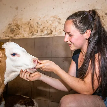 Lindbichlhof Urlaub Am Bio Bauernhof ザンクト・ヨーハン・イム・ポンガウ