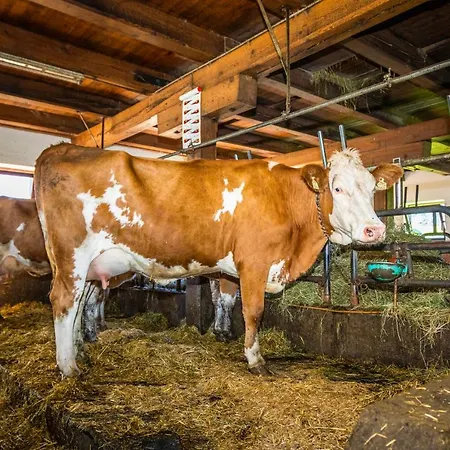 Lindbichlhof Urlaub Am Bio Bauernhof