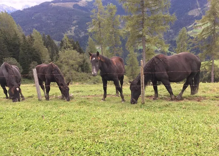 Lindbichlhof Urlaub Am Bio Bauernhof *