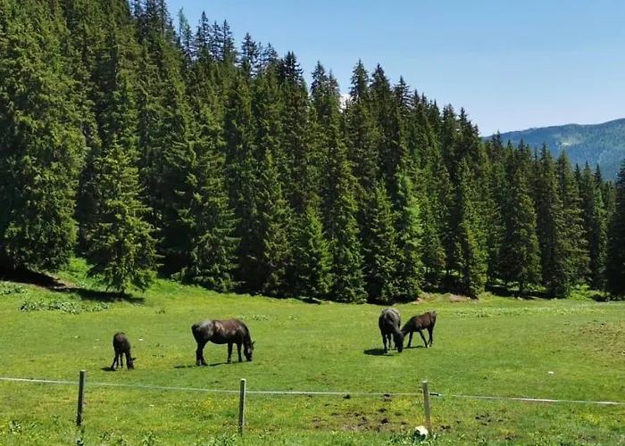 Lindbichlhof Urlaub Am Bio Bauernhof Апартаменты *