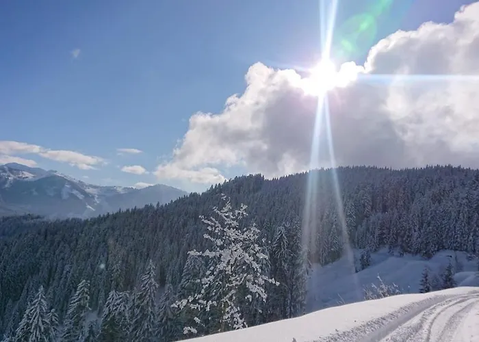 Lindbichlhof Urlaub Am Bio Bauernhof Апартаменты