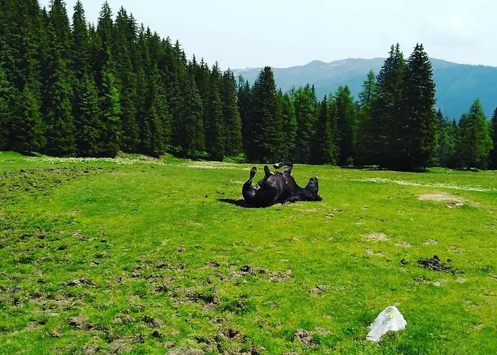 Lindbichlhof Urlaub Am Bio Bauernhof Apartmán Sankt Johann im Pongau