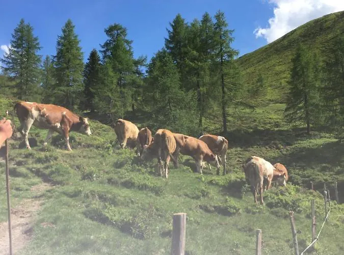 Lindbichlhof Urlaub Am Bio Bauernhof Санкт-Йохан