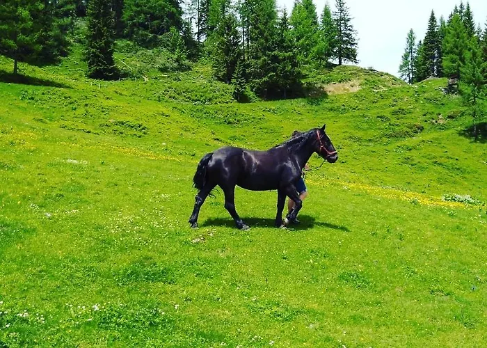Lindbichlhof Urlaub Am Bio Bauernhof Апартаменты