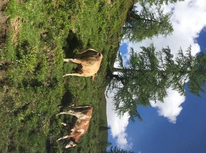 Lindbichlhof Urlaub Am Bio Bauernhof Apartmán *
