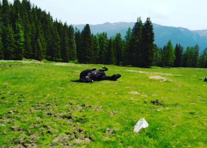 Lindbichlhof Urlaub Am Bio Bauernhof Апартаменты