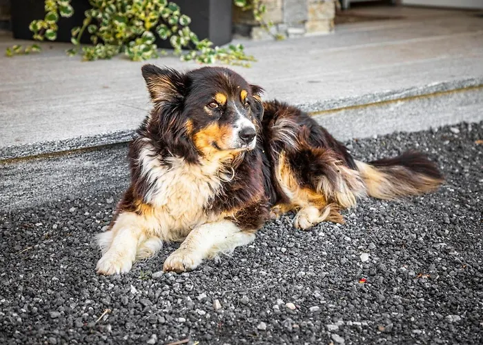 Апартаменты Lindbichlhof Urlaub Am Bio Bauernhof