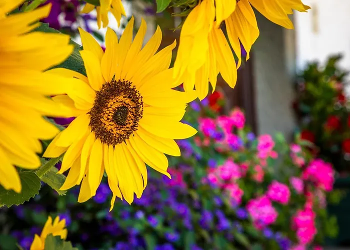 Lindbichlhof Urlaub Am Bio Bauernhof Apartmán *