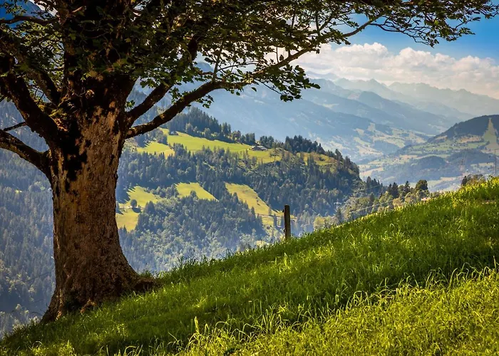 Lindbichlhof Urlaub Am Bio Bauernhof Apartmán *