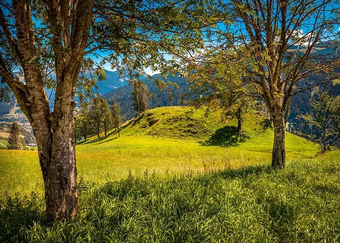 Lindbichlhof Urlaub Am Bio Bauernhof Apartmán *
