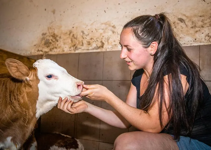 Lindbichlhof Urlaub Am Bio Bauernhof Санкт-Йохан