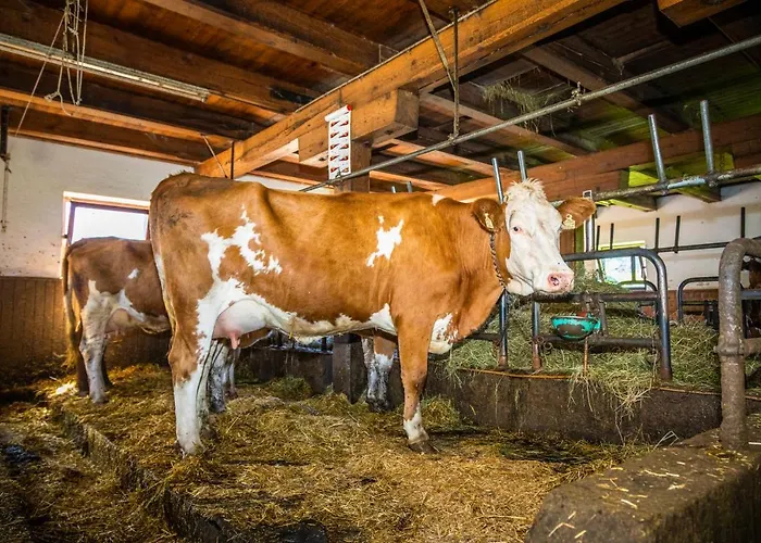 Lindbichlhof Urlaub Am Bio Bauernhof